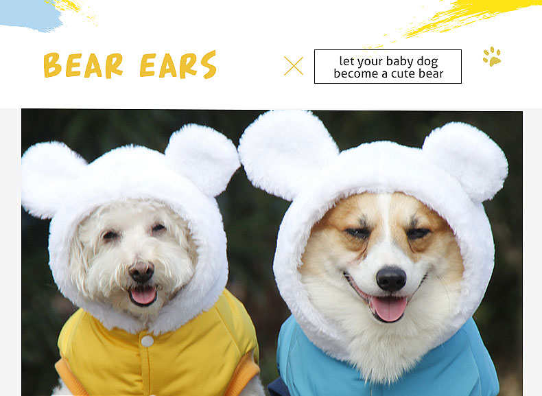bear ears hood